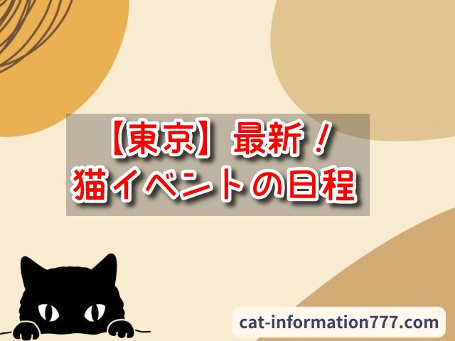 【東京】猫イベント2024年の日程いつ？7月・8月のフェア＆展示会スケジュール！