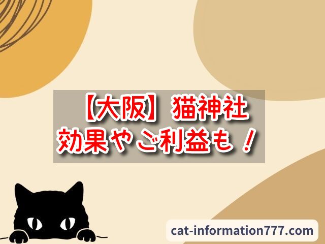 大阪の猫神社で最強のスピリチュアルスポット3選！効果やご利益も解説