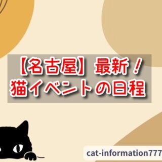 ペット同伴愛知猫 人気