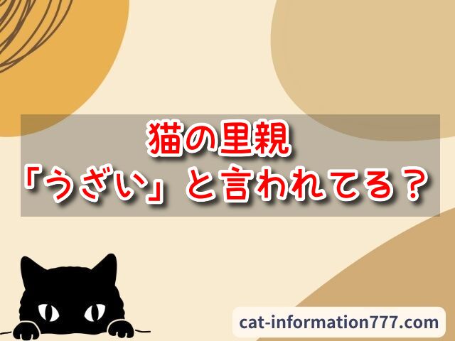 猫の里親　うざい