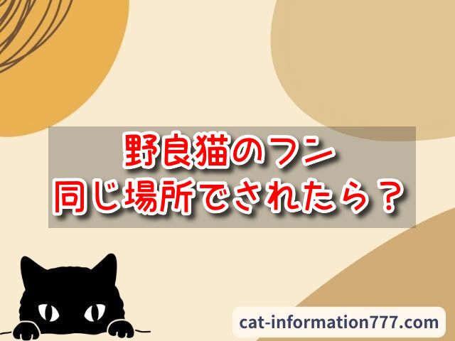 野良猫　フン