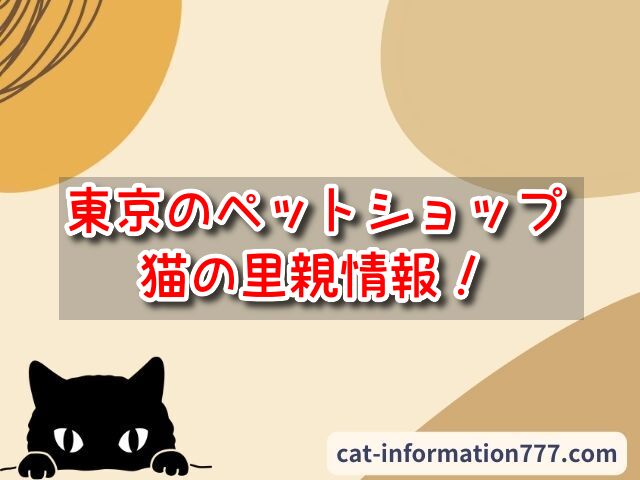 東京都】猫のペットショップで売れ残りを引き取りたい時は？里親募集/譲渡会の場所は？ ｜にゃんこ情報局