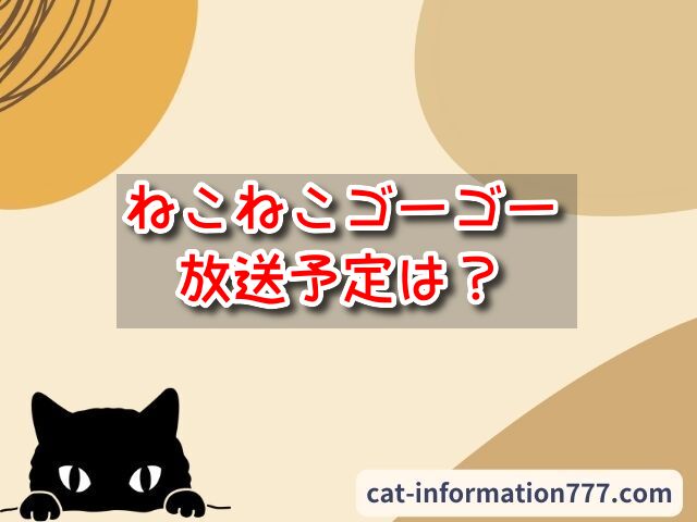 ねこねこゴーゴー　放送