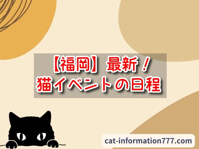 【福岡】猫イベント2024年の日程いつ？8月・9月・10月のフェア&展示会のスケジュールまとめ