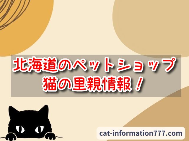 北海道】ペットショップで売れ残りの猫を引き取りたい時は？里親募集の場所をご紹介！｜にゃんこ情報局