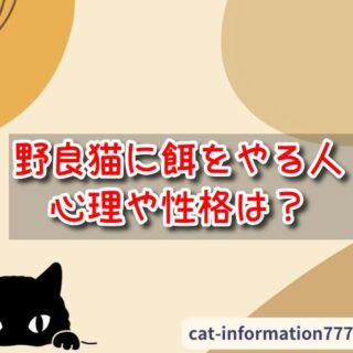 野良猫に餌をやる人の心理や性格は？通報や相談先・対策方法まとめ｜にゃんこ情報局