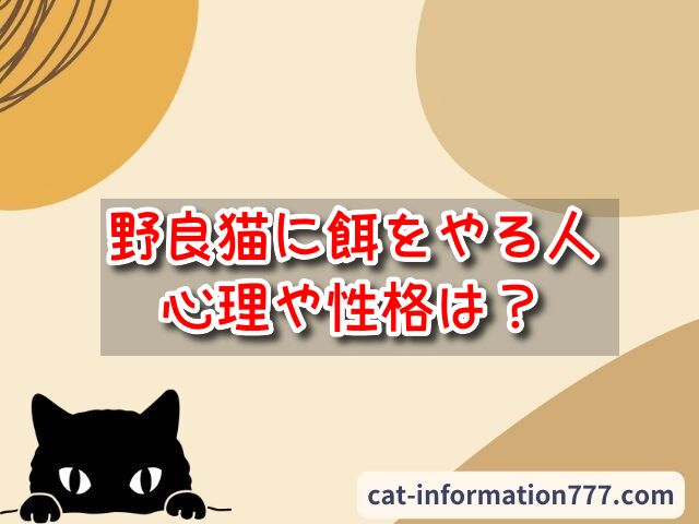 野良猫　餌をやる人