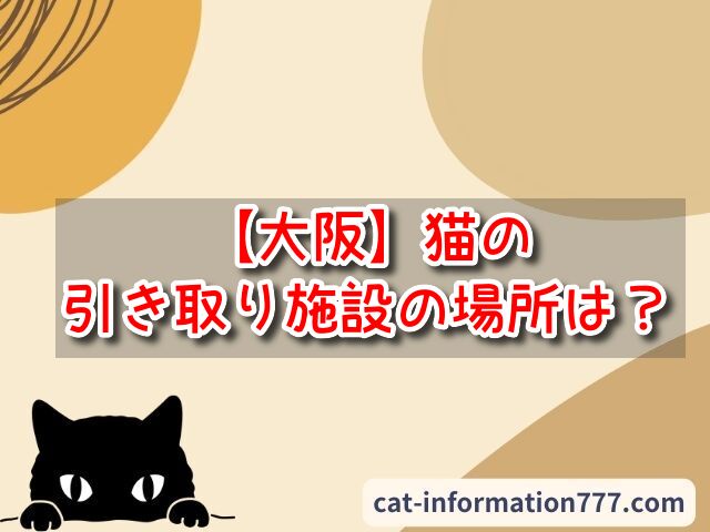 大阪　猫の引き取り