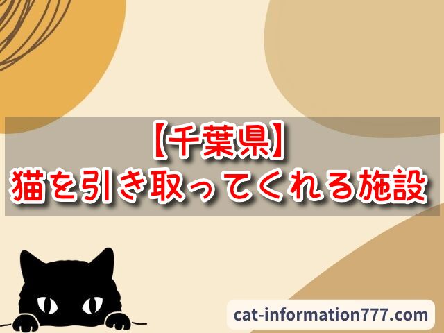 千葉県　猫を引き取ってくれる施設