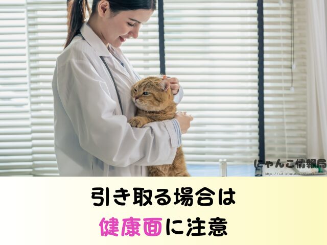 岡山県 ペットショップ 猫 売れ残り どうなる 里親募集 譲渡会 場所