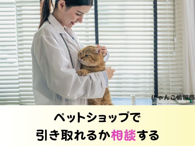 熊本県 猫 売れ残り 引き取れる 信用 里親 譲渡会 場所