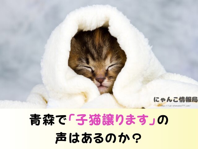 青森 ペットショップ 売れ残り 猫 里親 譲渡会 場所