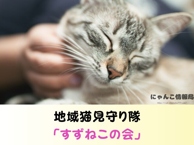 三重県 猫 売れ残り 引き取れる 信用 里親 譲渡会 場所