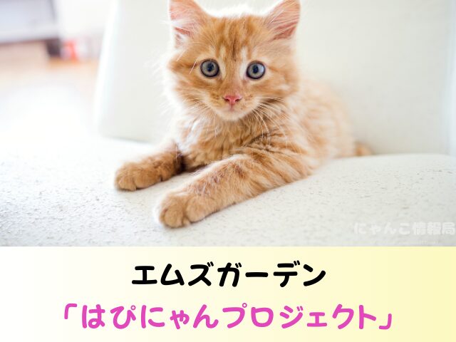 宮崎県 ペットショップ 猫 売れ残り 引き取れる 里親募集 譲渡会 場所