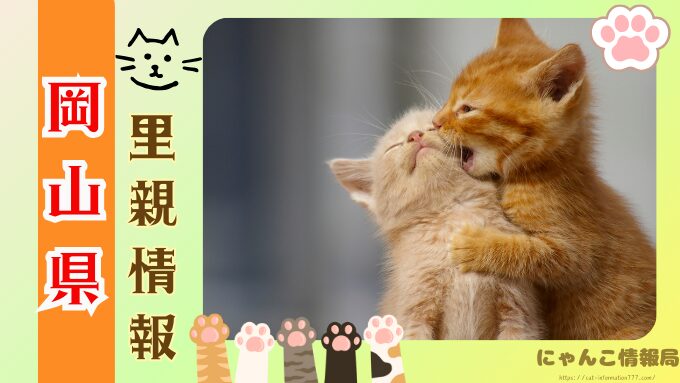 岡山県　ペットショップ　猫　売れ残り　どうなる　里親募集　譲渡会　場所