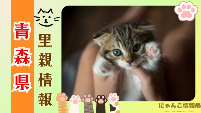 青森　ペットショップ　売れ残り　猫　里親　譲渡会　場所