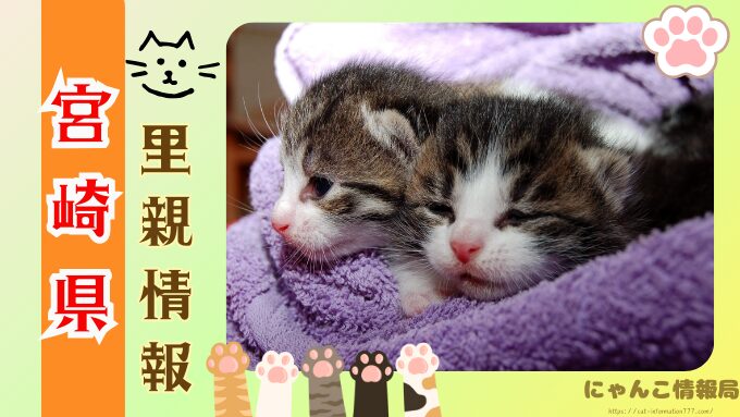 宮崎県　ペットショップ　猫　売れ残り　引き取れる　里親募集　譲渡会　場所