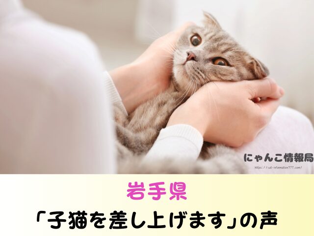 岩手県 猫 無料 里親 譲渡会 場所 引き取るための準備物