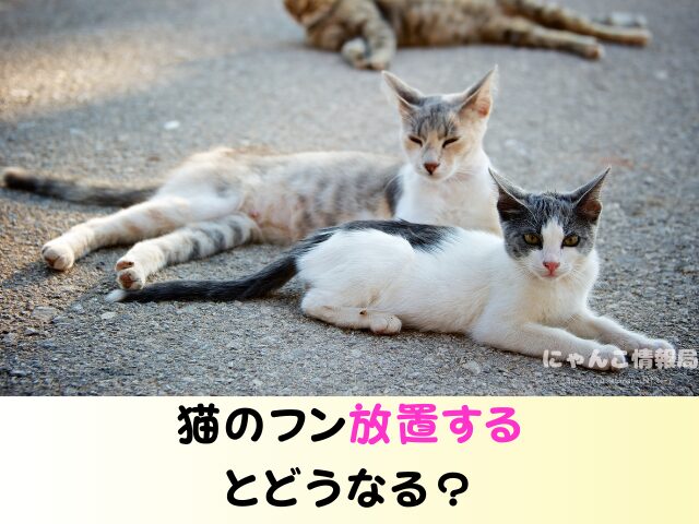 猫のフン 放置するとどうなる 水で流す 近所迷惑