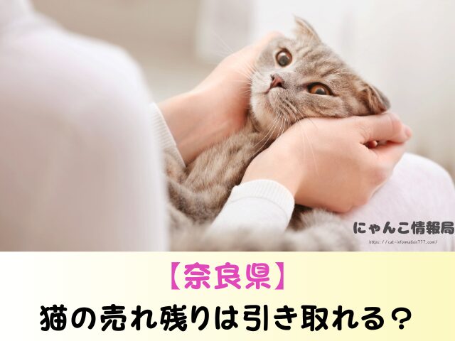 奈良県 猫 ペットショップ売れ残りを引き取りたい 里親 費用 譲渡会 場所