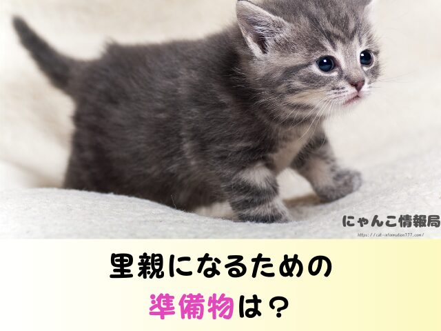福島県 猫 里親募集 譲渡会 場所 売れ残り その後