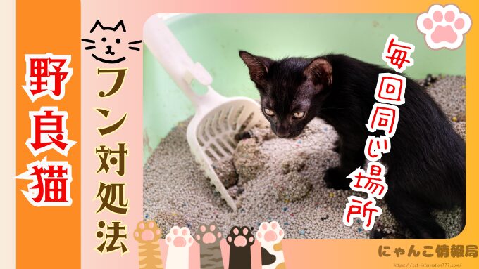 野良猫　同じ場所　フンをする理由　臭い　処理　困った　対処法