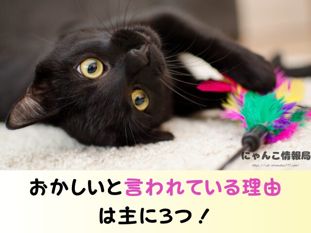 ペットのおうち アプリ おかしい 評判 多い 注意点 返事がこない