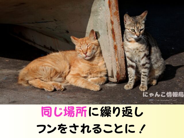 猫のフン 放置するとどうなる 水で流す 近所迷惑