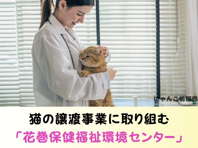 岩手県 猫 無料 里親 譲渡会 場所 引き取るための準備物