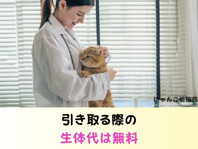 長崎県 ペットショップ 猫 売れ残り 信頼できる 里親 譲渡会 場所