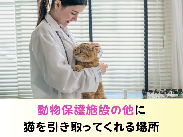 千葉県 猫を引き取ってくれる施設 信頼できる 動物愛護団体