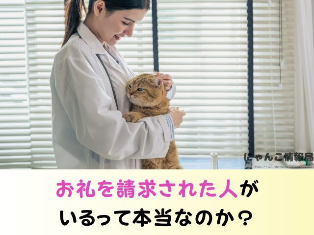 ペットのおうち 譲渡費用 いくらかかる お礼 どこまで必要