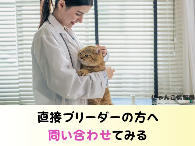 福島県 猫 里親募集 譲渡会 場所 売れ残り その後