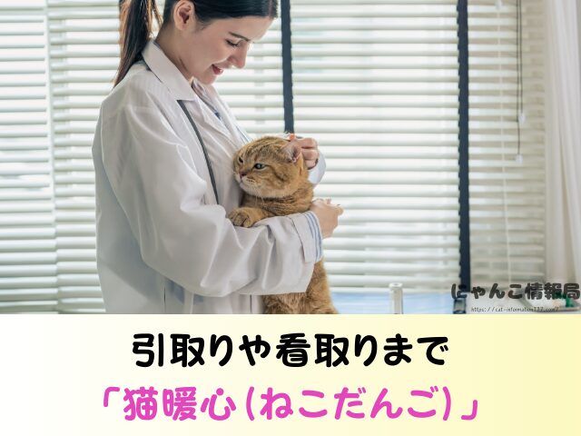 愛知県 猫を引き取ってくれる施設 信頼 動物愛護団体