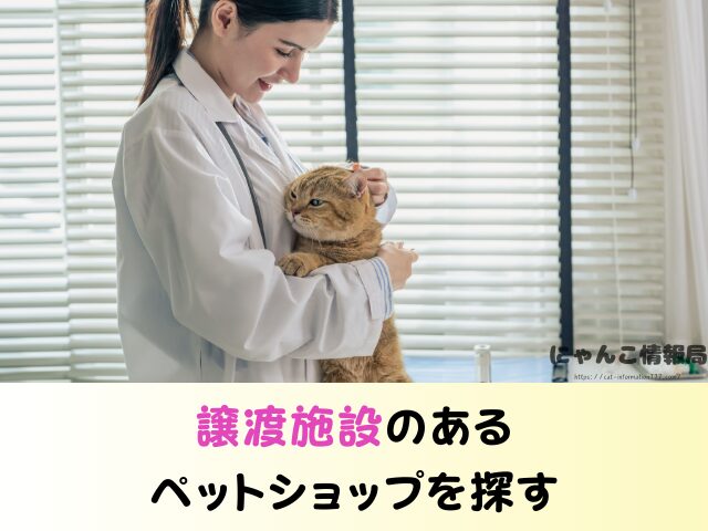 福岡県 ペットショップ 猫 売れ残りを引き取りたい 里親募集 譲渡会