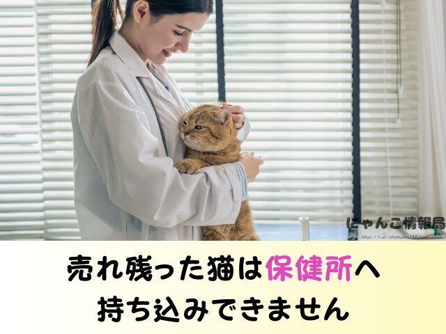 岐阜県 猫 ペットショップ売れ残りを引き取りたい 里親 無料 譲渡会 場所