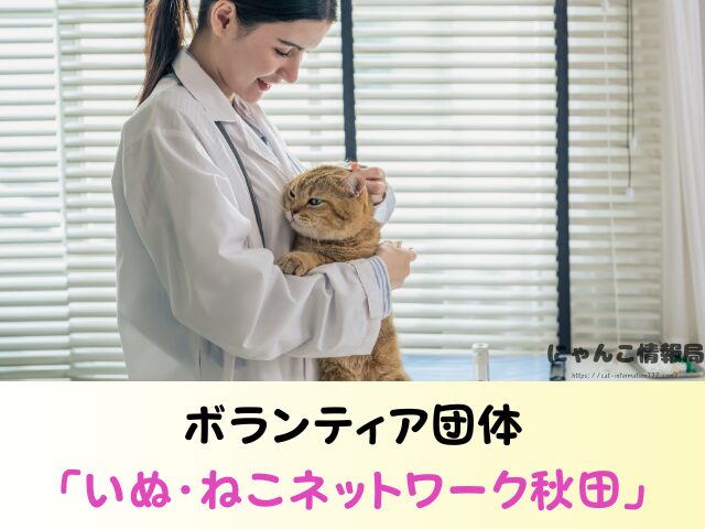 秋田県 猫 里親募集 譲渡会 場所 信頼 動物愛護団体