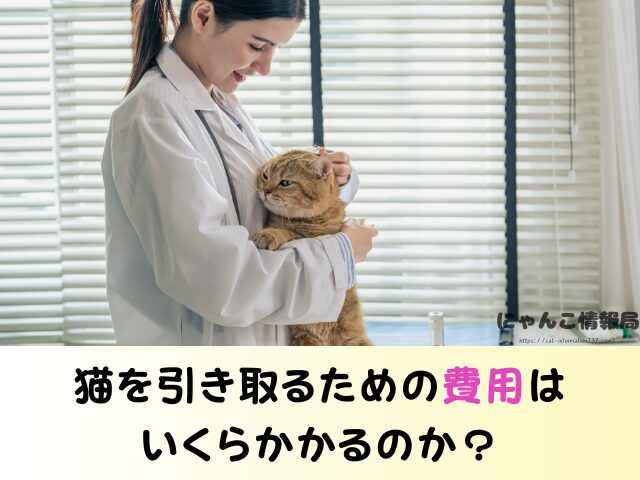 奈良県 猫 ペットショップ売れ残りを引き取りたい 里親 費用 譲渡会 場所
