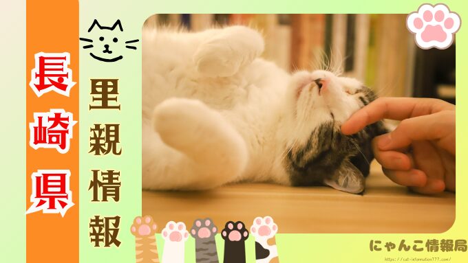 長崎県　ペットショップ　猫　売れ残り　信頼できる　里親　譲渡会　場所