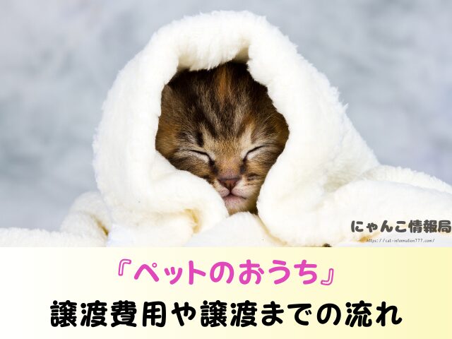 ペットのおうち 譲渡費用 いくらかかる お礼 どこまで必要