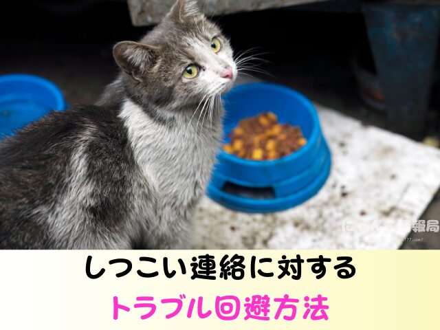 猫の里親になった後の連絡 うざい しつこい 電話 トラブル 回避方法