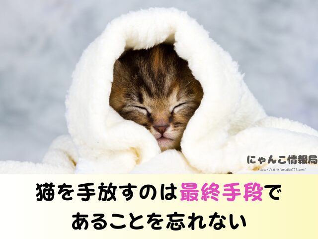 愛知県 猫を引き取ってくれる施設 信頼 動物愛護団体