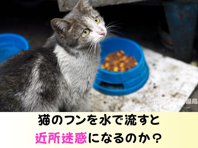 猫のフン 放置するとどうなる 水で流す 近所迷惑