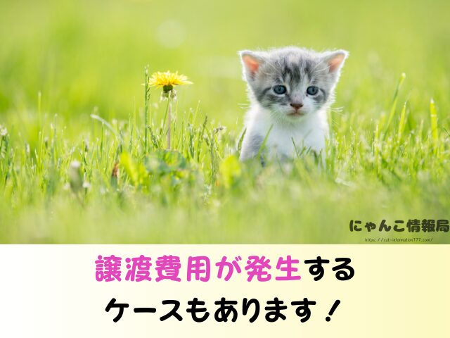 ペットのおうち 譲渡費用 いくらかかる お礼 どこまで必要