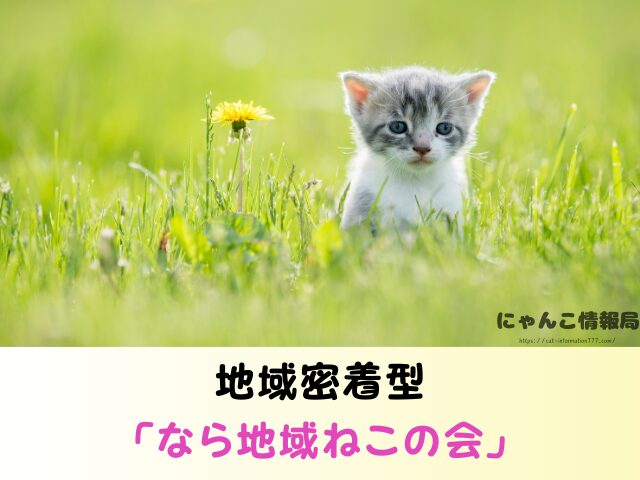 奈良県 猫 ペットショップ売れ残りを引き取りたい 里親 費用 譲渡会 場所