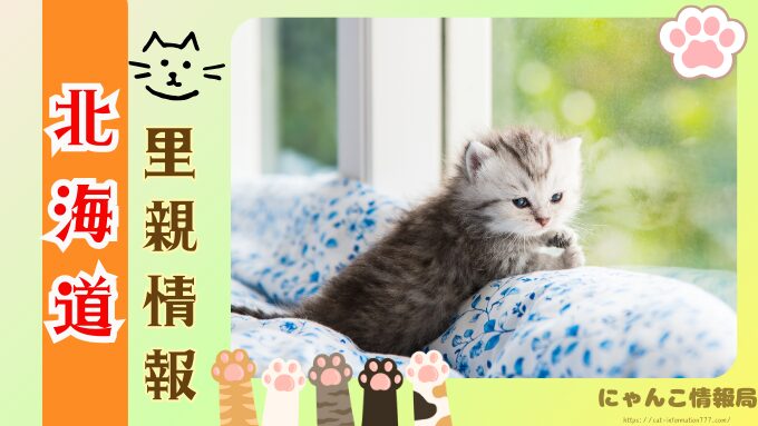 北海道　ペットショップ　売れ残り　猫　引き取りたい　譲渡会　場所