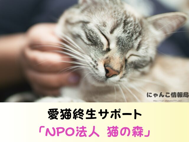 千葉県 猫を引き取ってくれる施設 信頼できる 動物愛護団体