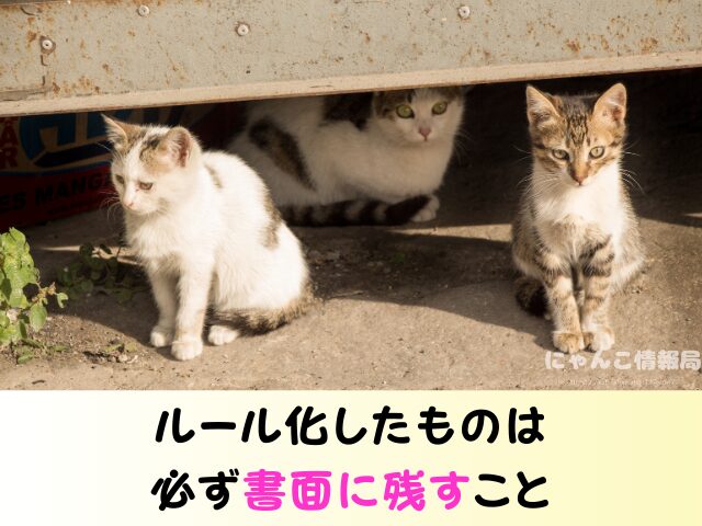 猫の里親になった後の連絡 うざい しつこい 電話 トラブル 回避方法