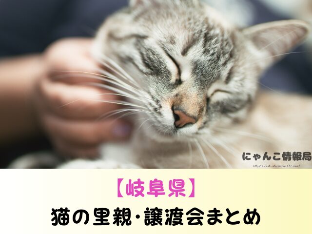 岐阜県 猫 ペットショップ売れ残りを引き取りたい 里親 無料 譲渡会 場所