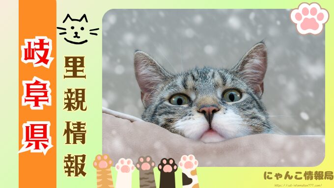 岐阜県　猫　ペットショップ売れ残りを引き取りたい　里親　無料　譲渡会　場所